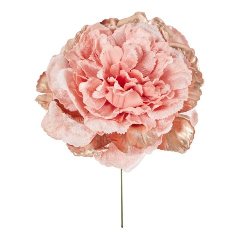 PICK PEONIA CM23 APRICOT